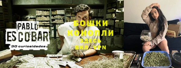 PSILOCYBIN Абаза