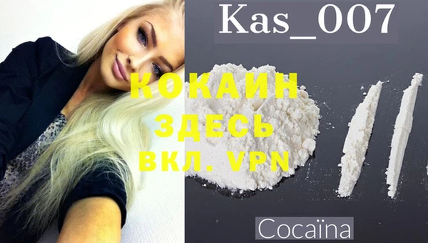 крисы Нея