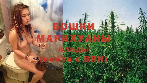 крисы Нея