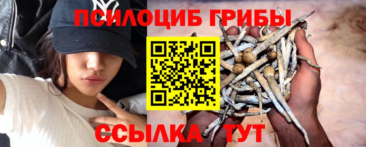 Галлюциногенные грибы GOLDEN TEACHER Абакан