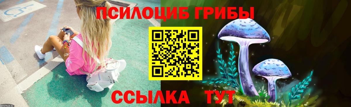 Галлюциногенные грибы прущие грибы  Вход с VPN  Псилоцибиновые грибы мицелий  купить наркотики сайты  Абакан 