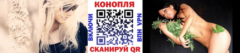 Бошки марихуана гибрид Абакан